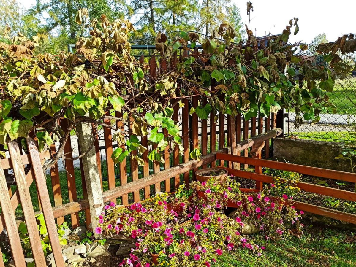 Pokoje Goscinne Duda Bialka Tatrzanska Luaran gambar